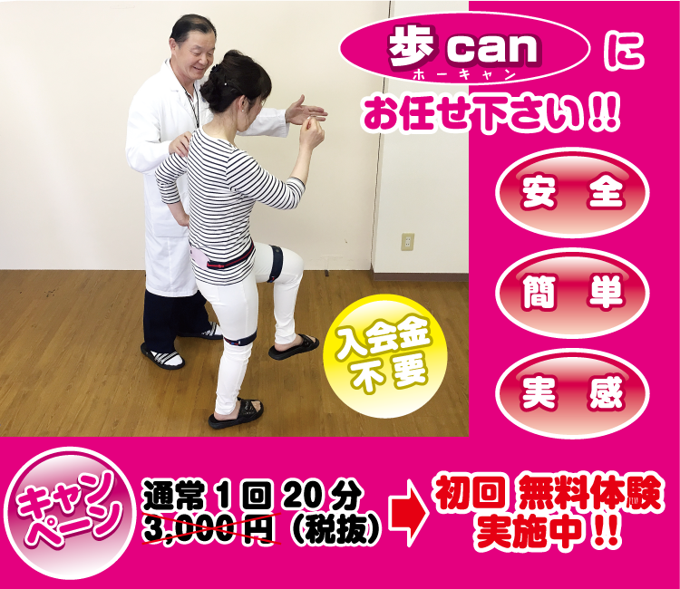 「歩かせ屋」にお任せ!!